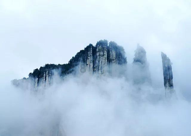 小恐龙来找茬